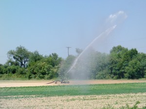 Watering Fields!